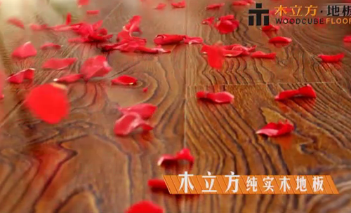 ľ�����ؽ�y����ҕƽ�_(t��i) �_(k��i)չ��һ݆�ďV��չ��