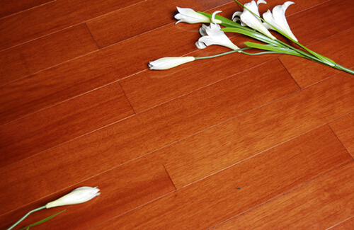 ��ͥ�b��������m��ľ�ذ���˽�N��_ʼ