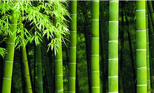 ��ľ̿�¹���m(x��)�ߟ��Ј� ��Ԋ���ҕ���������