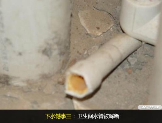 ϴ���g�_�P�b����� С���l(w��i)ԡ�b���z��