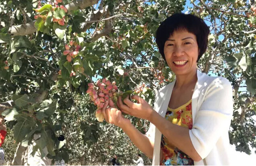 ����t :����(li��n)�W(w��ng)+���r�� O+O΢���ģʽ���_����