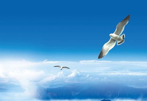 ��I(y��)�Ļ��Ǐ�(qi��ng)��������� �����I(y��)Ҫ��ҕ