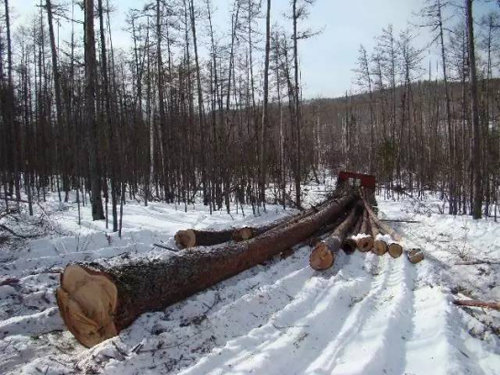 �������_(d��)Ʒ�ơ���ɼľ��ģ���ȻľԴ������֮��