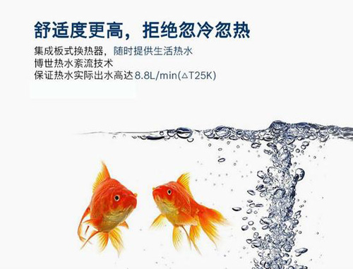 �����ڒ�t�cС����ڒ�t���ݴ��ƴ