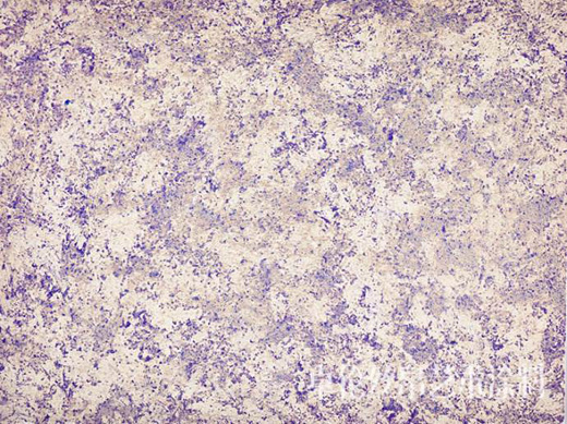 �\Մ���҇�ˇ�g(sh��)Ϳ���ИI(y��)���ЏV韵��Ј�����