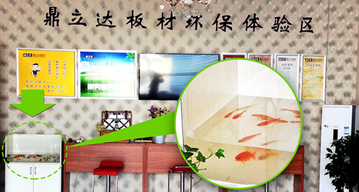 �����_(d��)��ģ�Ʒ�Ƽ��� ��(ji��n)�ք�(chu��ng)��