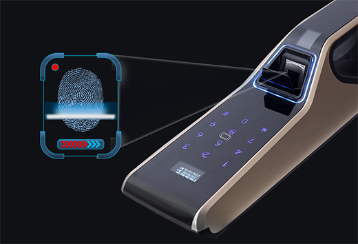 ʮ�������iƷ�ƣ�������(y��u)���������ھ�