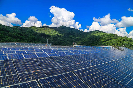 2020�����l(f��)��b�C(j��)Ŀ��(bi��o)���{(di��o)��1100�fǧ��