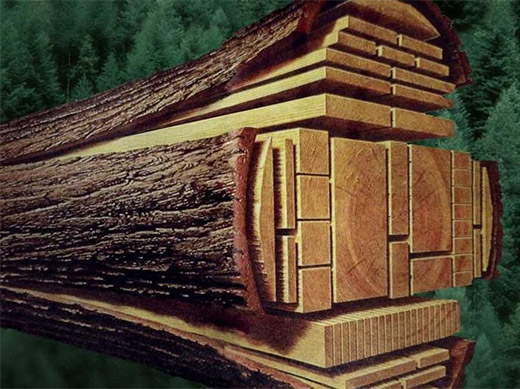 ľ�Ļ��Ƅ�(d��ng)�ŵ�Ҿ�Ʒ�ƵĄ�(chu��ng)��