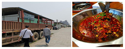 ���꼊��ϴ�������y���S�~�t����