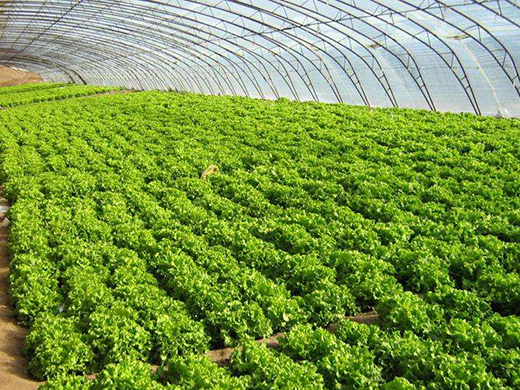 �߲˻����Q��ӛ�����Ї�(gu��)���g(sh��)׌�ϓ��׶����^(q��)�r(n��ng)������˜\