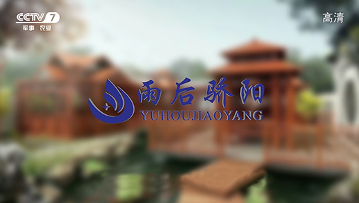 ����ꖽ��ď�(qi��ng)�ݵ����ҕ ���fꖹ�������