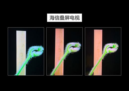 �Z���t�����ż����l(f��)��ȫ�����_(t��i)�B���ҕ��