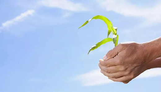 ˮ�������������ɱ��q15%�����h(hu��n)���_(d��)��(bi��o)�p�����N��������