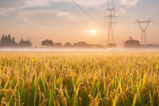 ˷���T�I(y��)| ̎����������˶�ֹ��