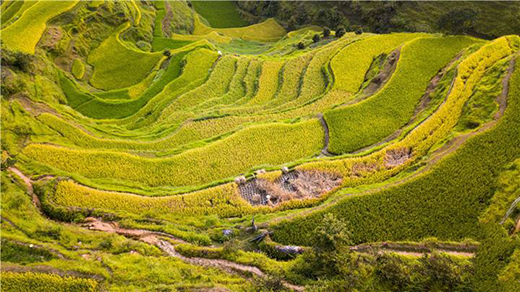 ˷���T�I(y��)| ̎����������˶�ֹ��