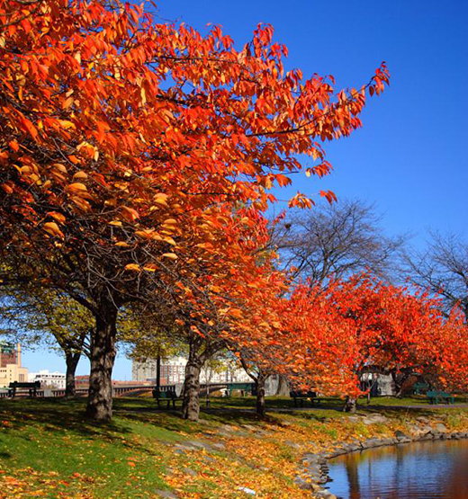 ������ԡ��EA5�����������������ԡ