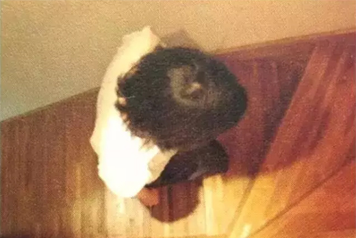 ���_(k��i)�������g(sh��)���ص����˞鱾�Č����(l��i)Մ�Ҿ������O(sh��)Ӌ(j��)