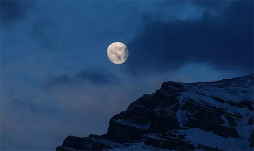 �����£�������