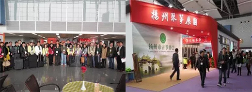 ��ʮһ�ÏV�݇��H����չ���c(di��n)���