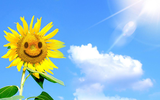 �������������l ���A�������c������