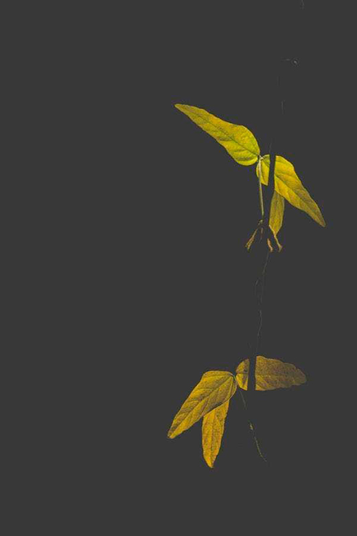 ������ν���ꖹⷿ��׌����ܴ��������!