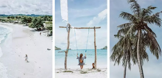 �������T�I(y��)�����O(sh��)Ӌ(j��)���W(xu��)���M(j��n)ľ�T���a(ch��n)