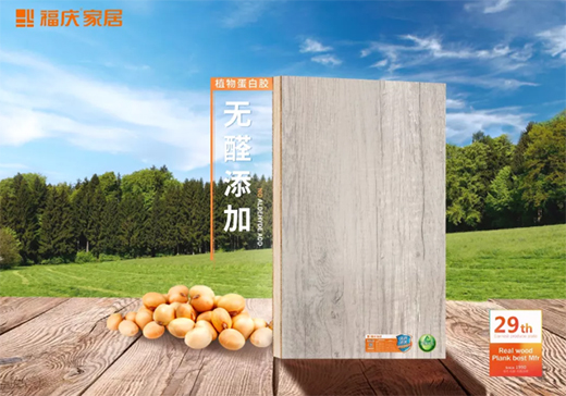 ���c�oȩ�������B(t��i)�壬�o����һ������ȩ���ļ�