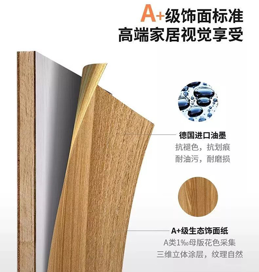 ���Ї�(gu��)����Ʒ�ơ���ɭ��Ĉ�(ji��n)�حh(hu��n)��֮·�����콡��Ʒ�|(zh��)