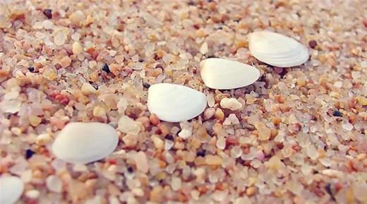 ؐ����׌��ȩ�o̎�� ׌ˇ�g(sh��)��ӯ����(g��)���g