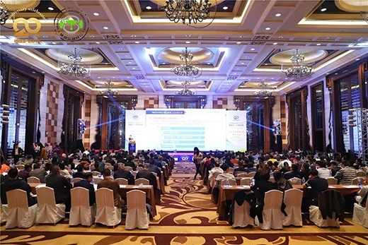 ��s�p�� �ֵ����(sh��)��(xi��)�����Ęsҫʷ