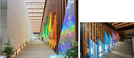 ����ʿ&�K���\Ʒ 2020 