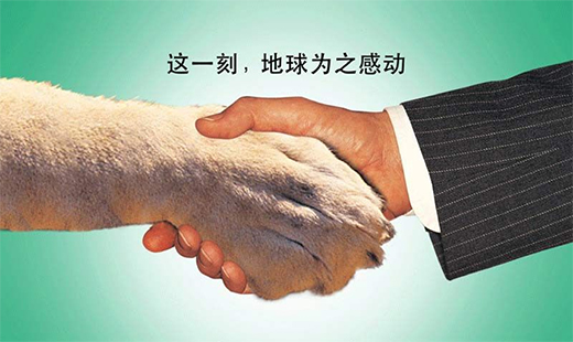 �s���_(d��)�N�l(w��i)������ܽ^Ұζ �I�B(y��ng)��ʳ�������g��ζ