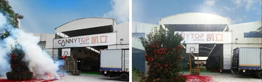 ���A2020 | �P����ԡ�������ľ������_����