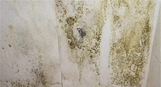 ��Ϳؐ���۾��п����־����ã�����Ч���ͽ����Ⱦ����