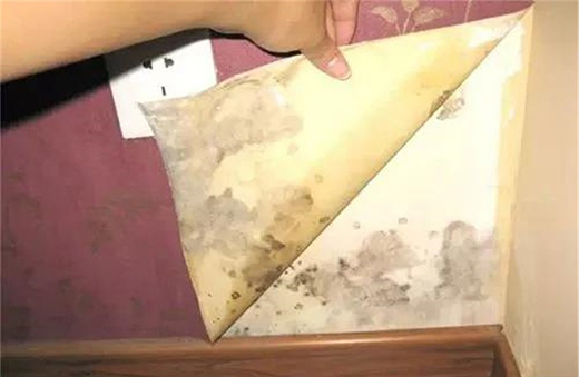 ��Ϳؐ���۾��п����־�����������Ч���ͽ����Ⱦ����