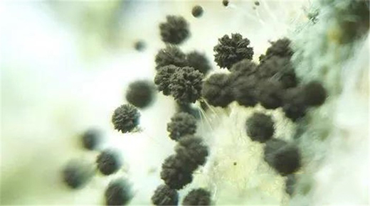 ��Ϳؐ���۾��п����־�����������Ч���ͽ����Ⱦ����