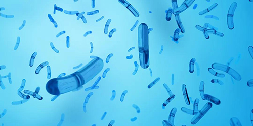 ��ˮ�ИI(y��)��������������I(y��)ԓ����� ���N���y�}?