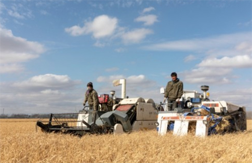 ����ϓP!2�·��K��ƴُӆ�������L866%