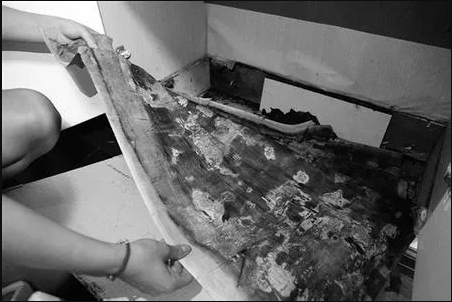 Ӳ�˶��� | �����Ҿӑ�(zh��n)������ ����լ ������!