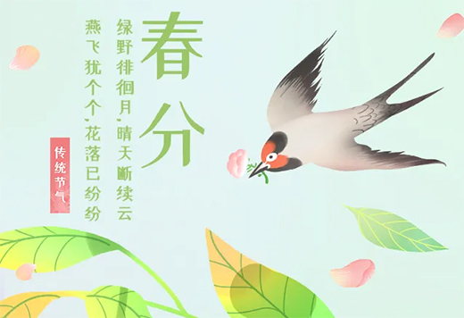 ���P��ľ�T����ؓ���ⲻؓ������