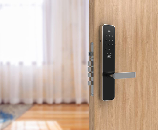 �f����K����������T�iӭ����δ����