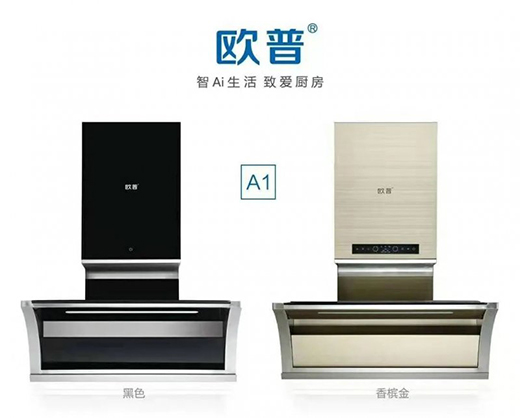 大吸力，大風壓，高顏值，才是廚房的最愛!