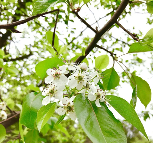 Ϳ�m��ˇ�g(sh��)Ϳ�ϣ����������ߝu�h(yu��n)���������!!