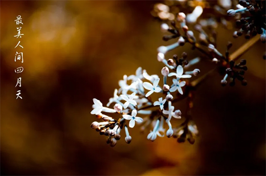 Ϳ�m��ˇ�g(sh��)Ϳ�ϣ����������ߝu�h(yu��n)���������!!