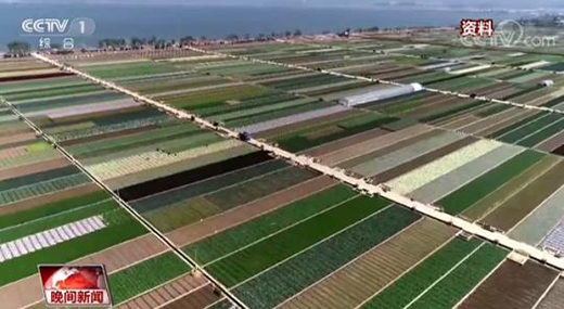 ��(qu��n)����(sh��)��(j��)���V�� �҂�?y��u)�ʲô���öڼZ