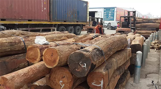 ���黨���ܴ��J(r��n)�����ɞ�tľ��ġ����F��!