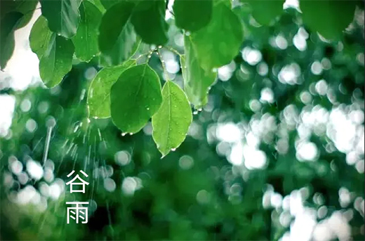 �����T�I(y��) | ���꣺�r��ĺ���������ٹ�