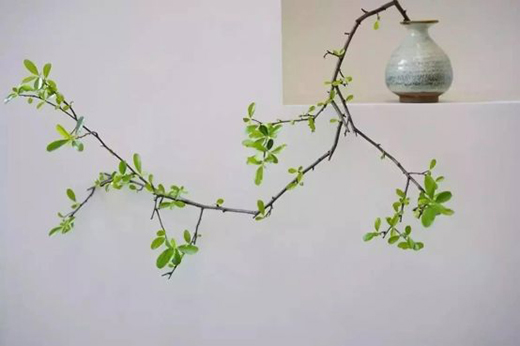 ���ϊW��ī퍡�����ʽ�����_�����{ʲô�ɞ����Юa(ch��n)����