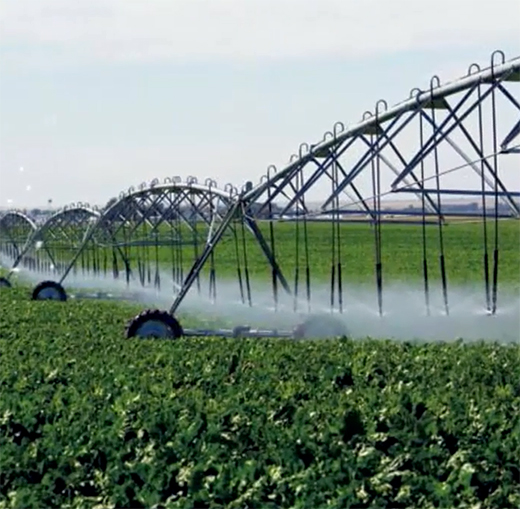 �P(y��ng)�ӹܘI(y��)���ֽ����h(hu��n)���a(ch��n)�I(y��) �c���B(t��i)�����R������δ��(l��i)